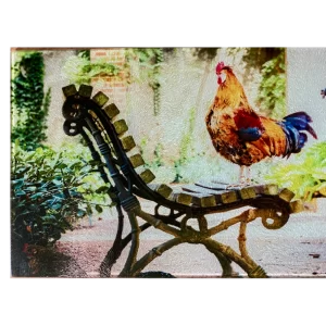 Glass Cutting Boards