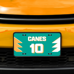 Novelty License Plate 11.88" x 5.88"