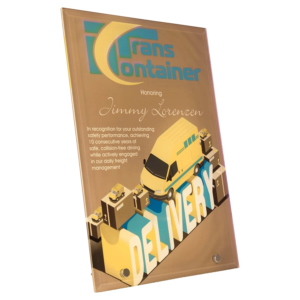 7" x 10" Glass Panel with 2 Standing Pins