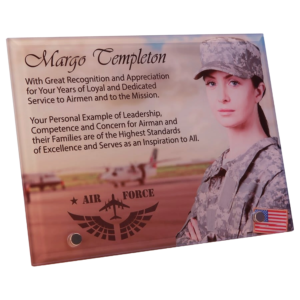 8" x 6" Glass Panel with 2 Standing Pins