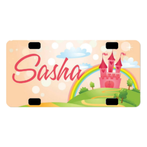 Mini Novelty License Plate - Aluminum 6" x 3"