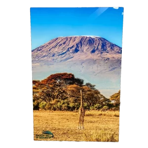 12" x 18" Gloss White Indoor Metal