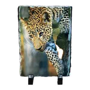 5.5" x 7.5" Rectangle SubliStone