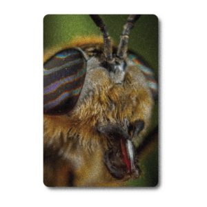 5" x 7" Textured Indoor Metal