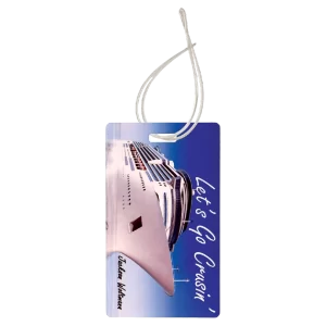 2.5" x 4.25" Plastic Tag