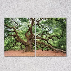 23" x 14" Metal Diptych