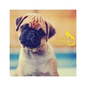 8" Gloss White Indoor Metal