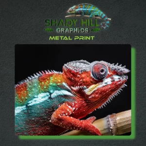 Chameleon