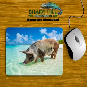 Bahama Pig Beach