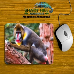 Mandrill 2