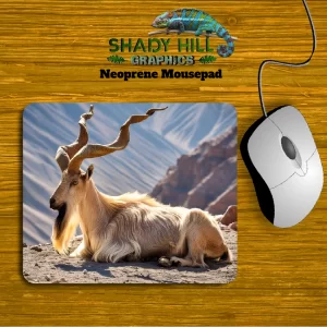 Markhor Mountain Goat