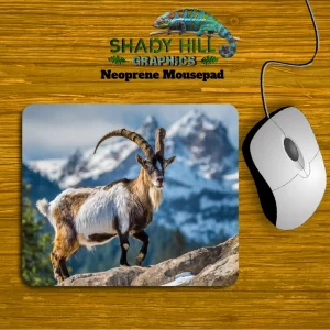 Mountain Ibex Goat