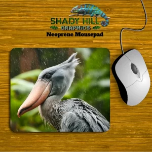 Shoebill Stork