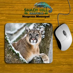 Treed Mountain Lion