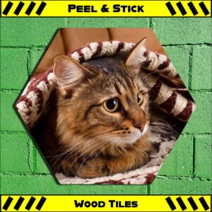 Blanket Kitty - Peel & Stick Hexagon Wood Tile