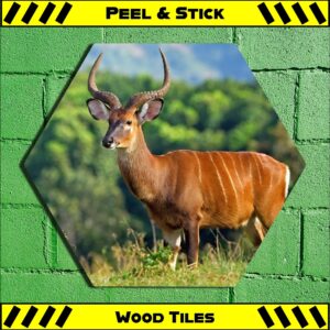 Bongo Deer - Peel & Stick Hexagon Wood Tile