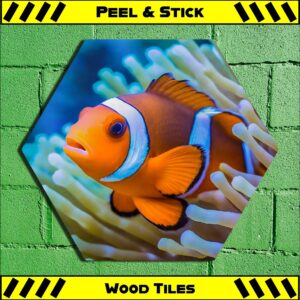 Clownfish - Peel & Stick Hexagon Wood Tile