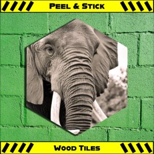 Elephant - Peel & Stick Hexagon Wood Tile
