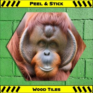 Orangutan - Peel & Stick Hexagon Wood Tile