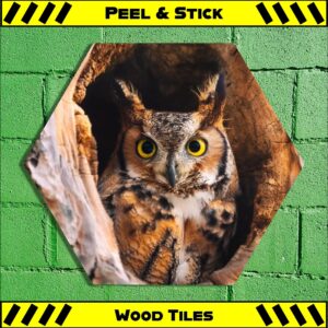 Owl Hole - Peel & Stick Hexagon Wood Tile