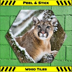 Treed Mountain Lion - Peel & Stick Hexagon Wood Tile