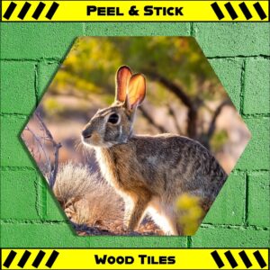 Texas Hare - Peel & Stick Hexagon Wood Tile