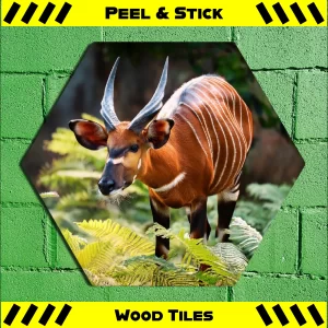 Bongo Antelope - Peel & Stick Hexagon Wood Tile