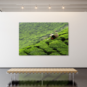 XL Metal Print (Print Partner)